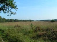 Klik op de foto voor groter formaat